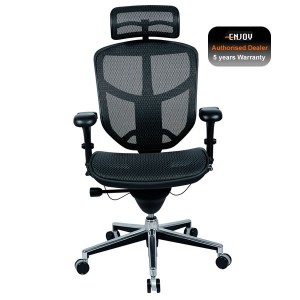 Enjoy Ergonomic Office Chair