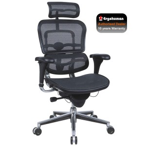 Ergohuman Mesh Office Chair